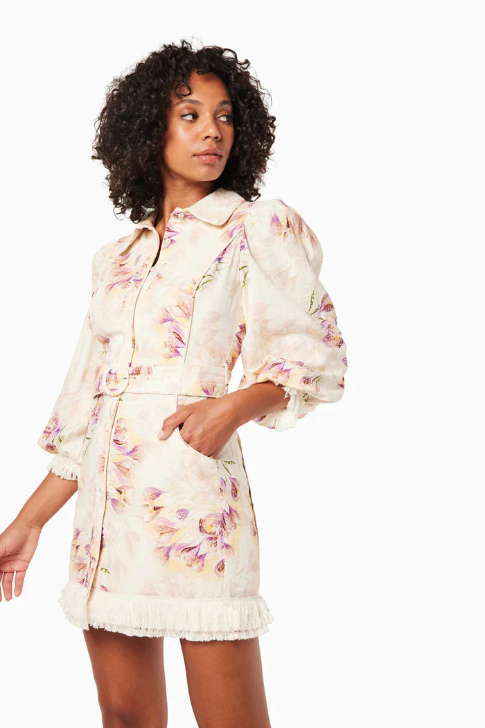 Elliat - The Agency Dress