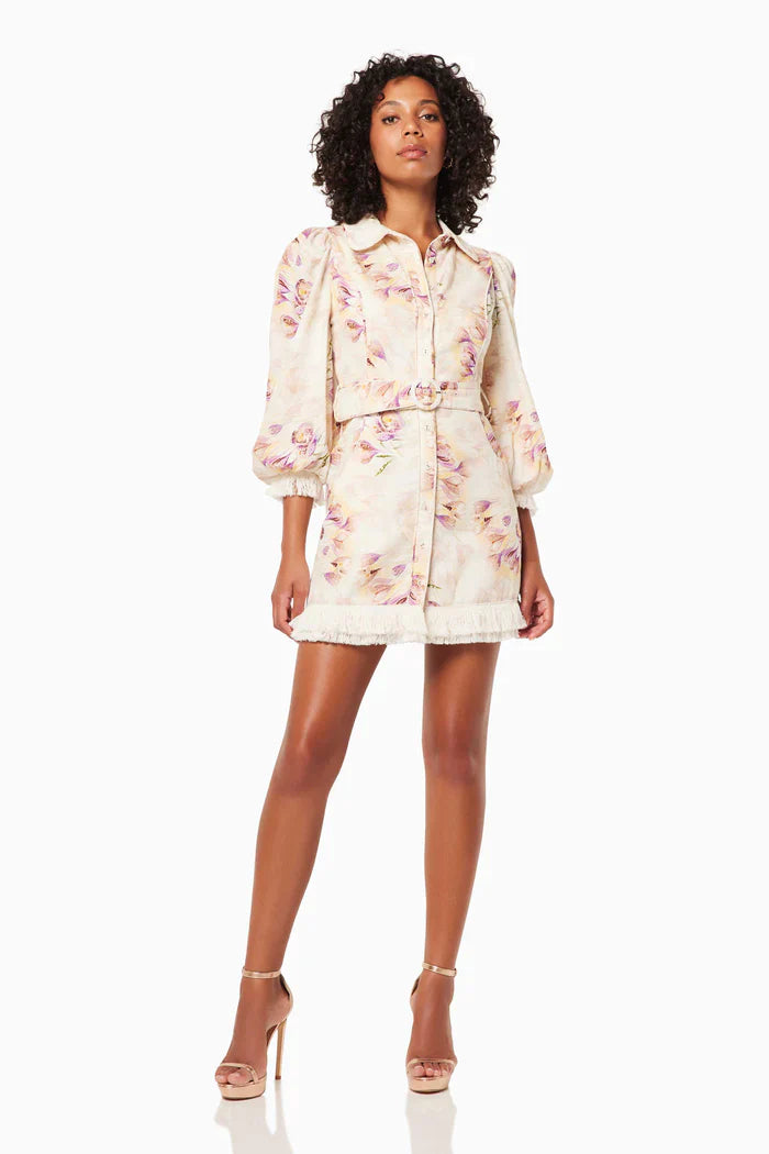 Elliat - The Agency Dress