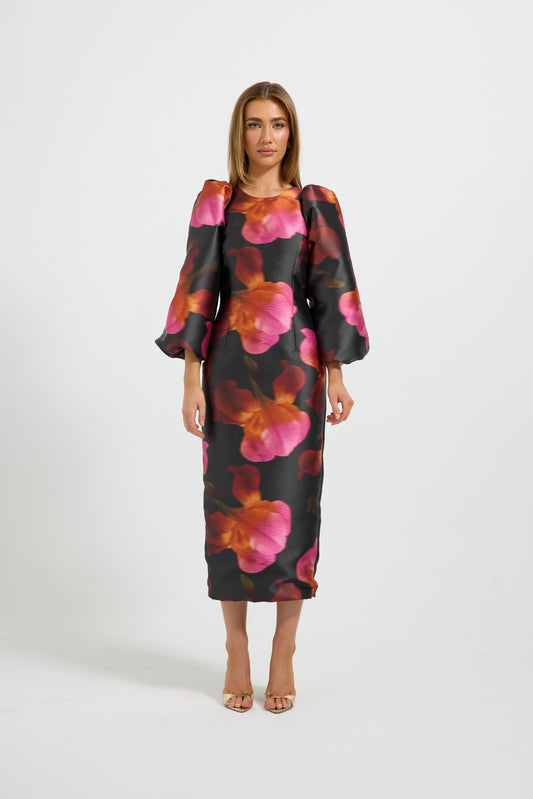 Pasduchas - Ava Sleeve Midi - Spiced Flora